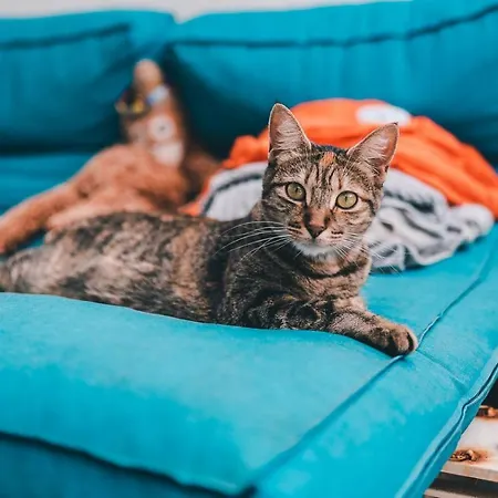 Хостел La Ventana Azul Surf Лас-Пальмас-де-Гран-Канария