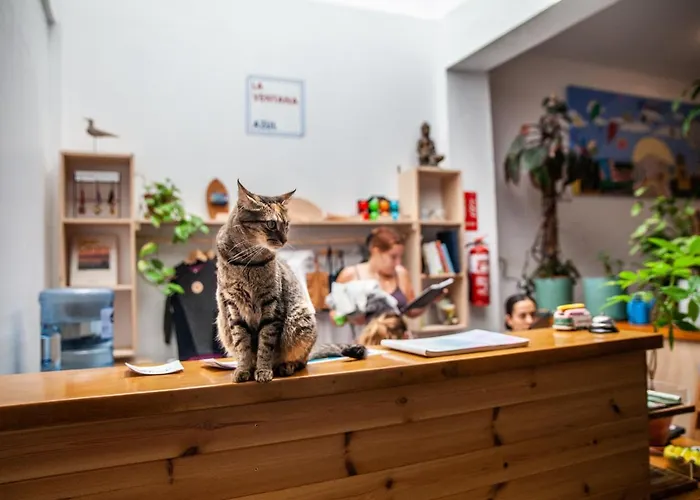 ホステル La Ventana Azul Surf