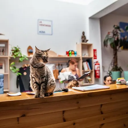 旅馆 La Ventana Azul Surf