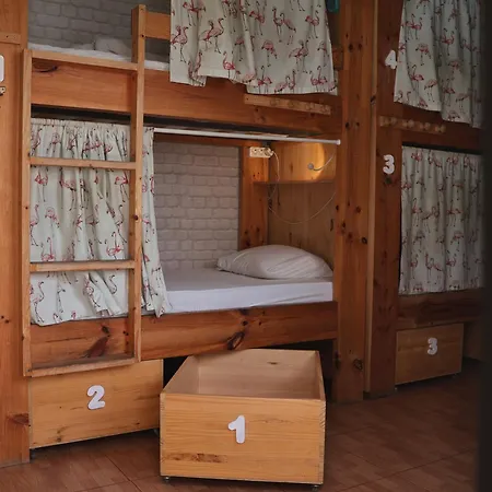 La Ventana Azul Surf Hostel *